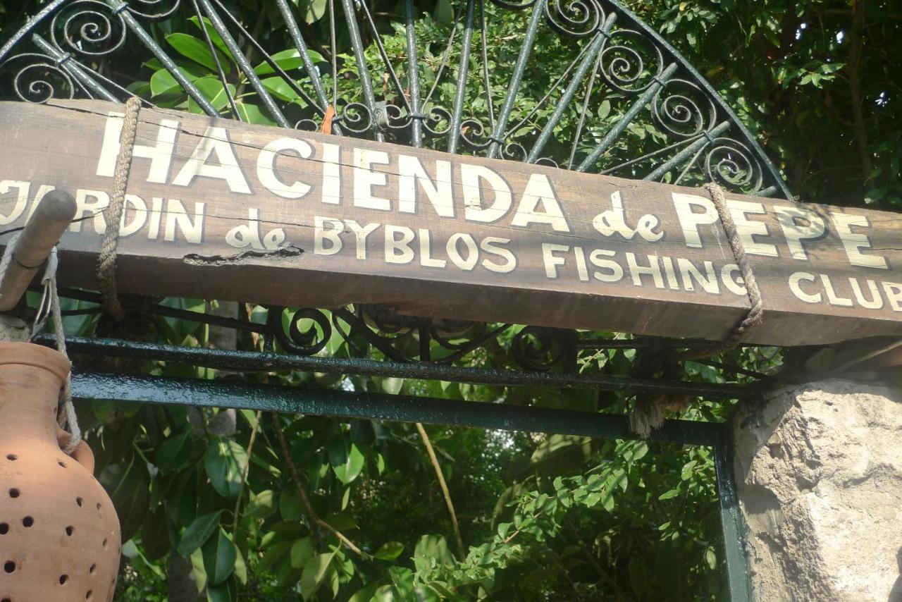 Byblos Fishing Club Guesthouse Pokoj fotografie